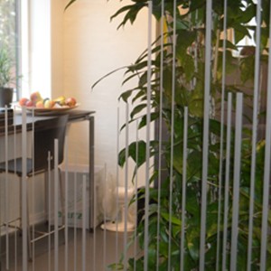 FILM DÉPOLI ENLEVABLE EN PVC