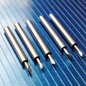 LAMES ROLANDPicture1