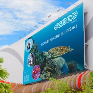 ORAGUARD 244G | LAMINATION ETHYLENE SANS PVC ANTI-GRAFFITIS LONGUE DURABILITE 70µ