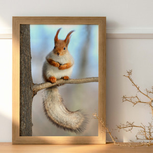 PAPIER POSTER BLANC MAT...