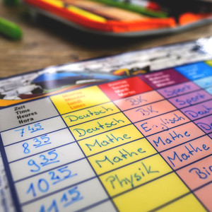 SD-FF451-120Picture1